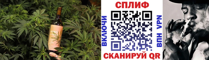 Купить где  Снежногорск  Cannafood конопля 
