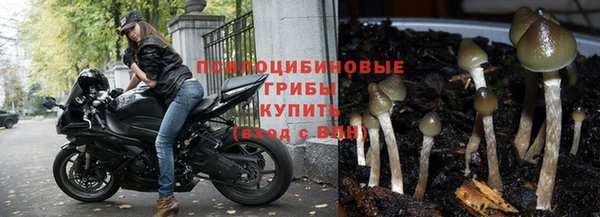 марихуана Заводоуковск
